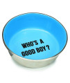 Proselect Chitchat Stainless Dog Bowl - Blue